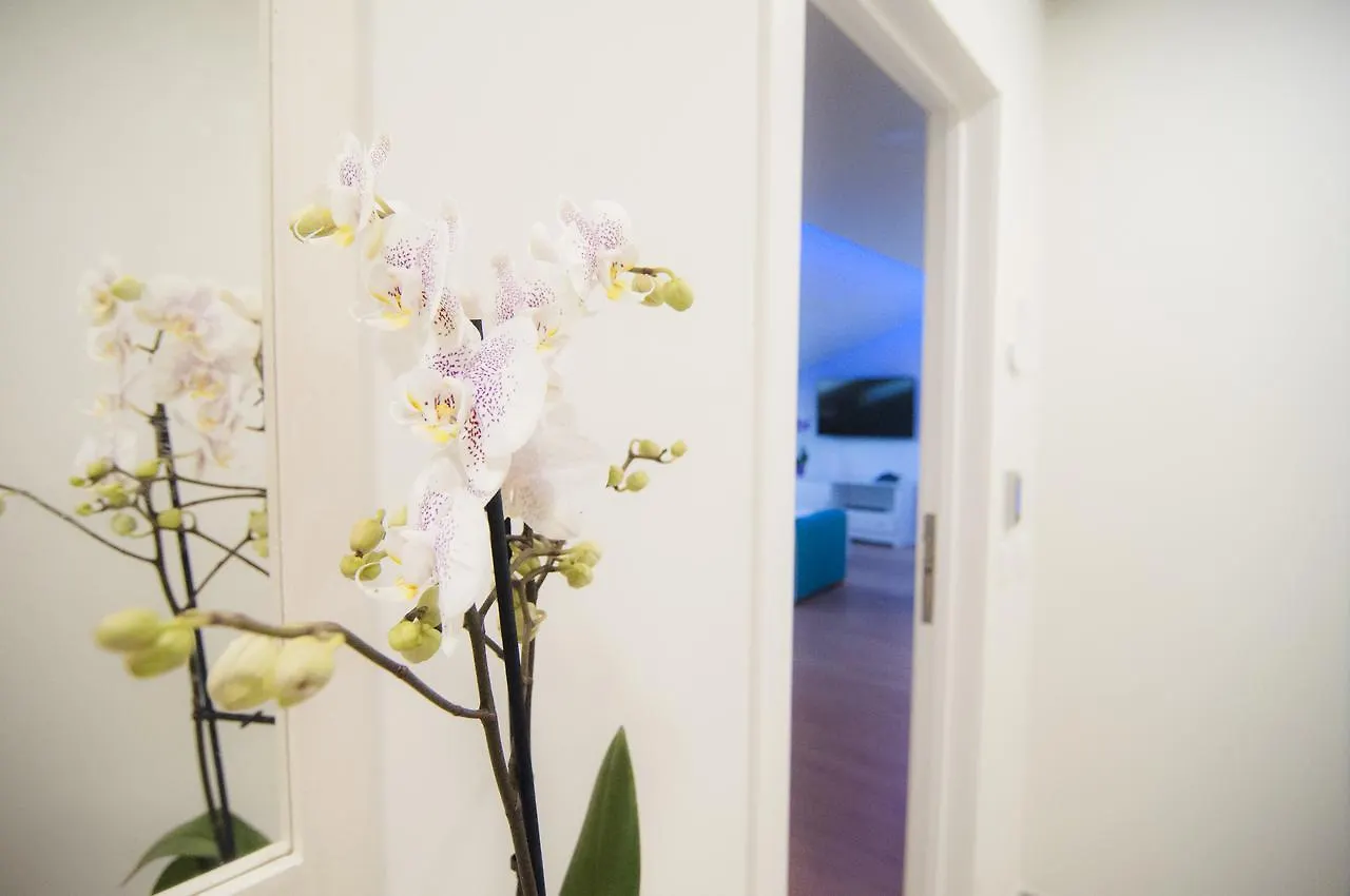 Los Rodeos Luxury Vivienda Vacacional La Laguna  0*, La Laguna (Tenerife) Espanha